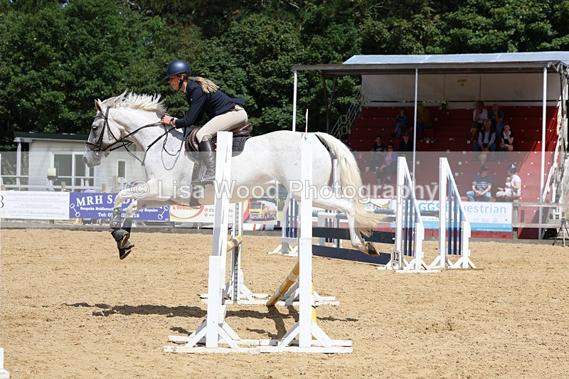 3E7A0335 - Class 9: Senior British Novice/90cm open