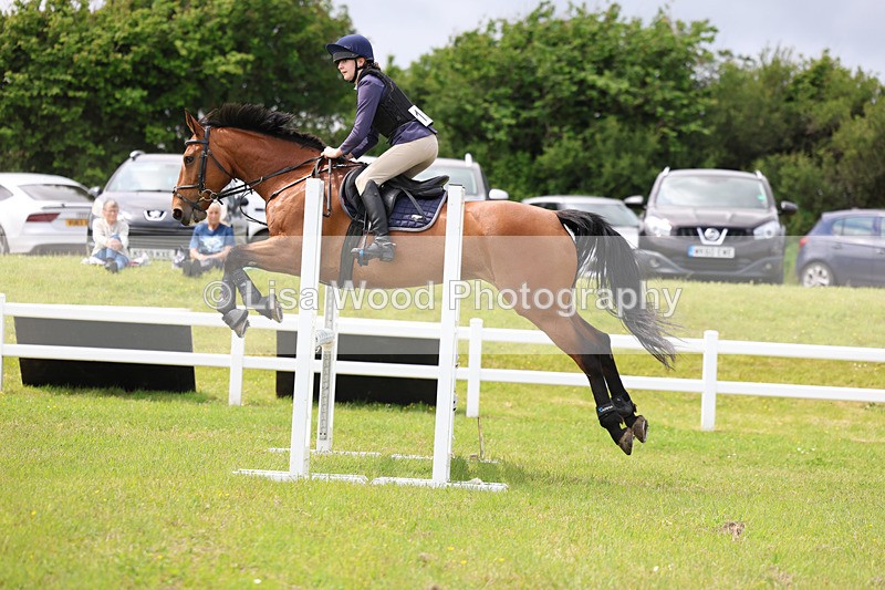 3E7A7627 - Class 13: Senior British Novice/90cm open