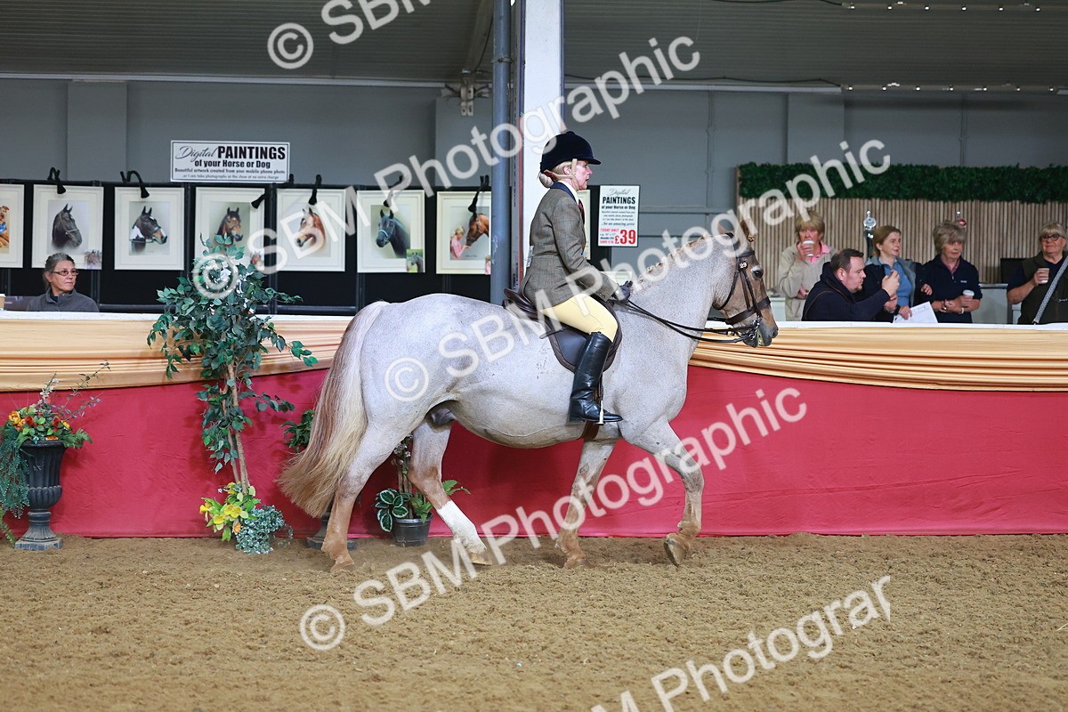 SBM_07632 - Class 101 - HOYS Veteran Qualifier - Ridden Diamond