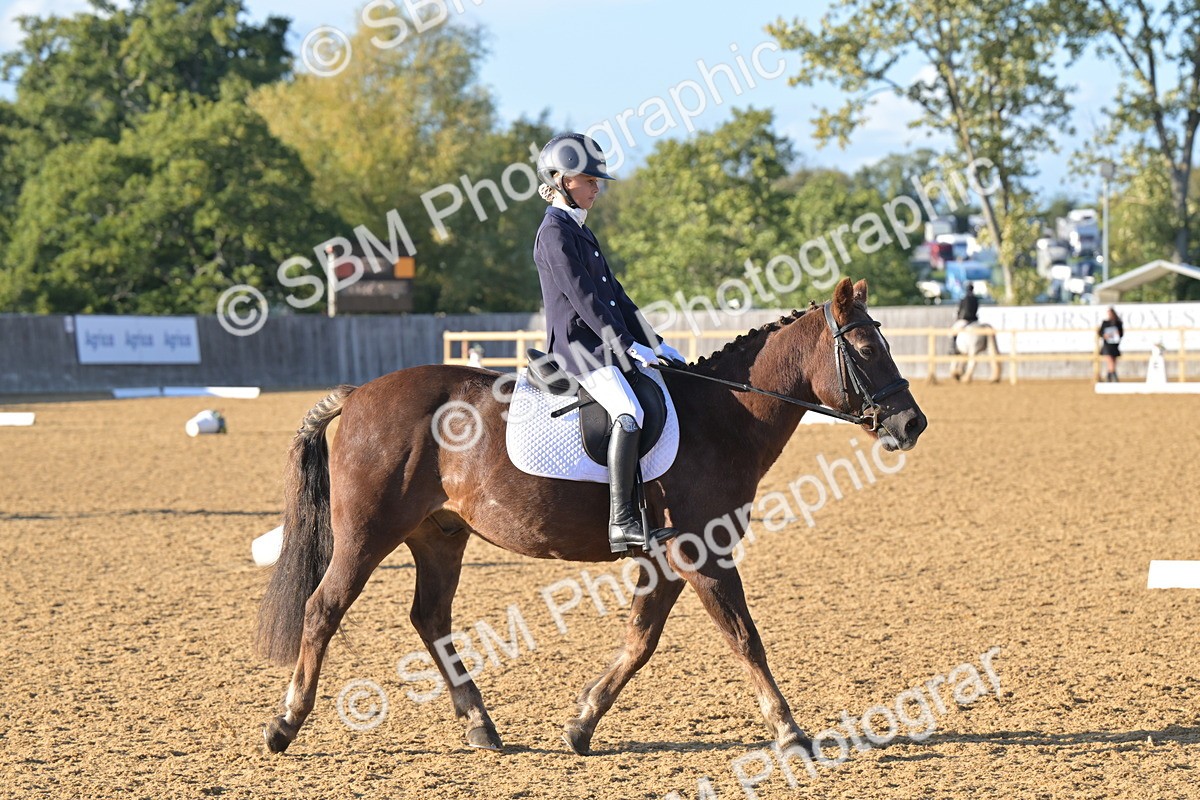 SBM_13080 - D3 - Small Tour Championship Intro 3