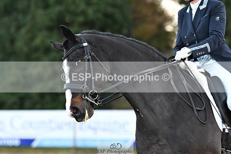 231110-160251-02431 - Cls 11 FEI PSG