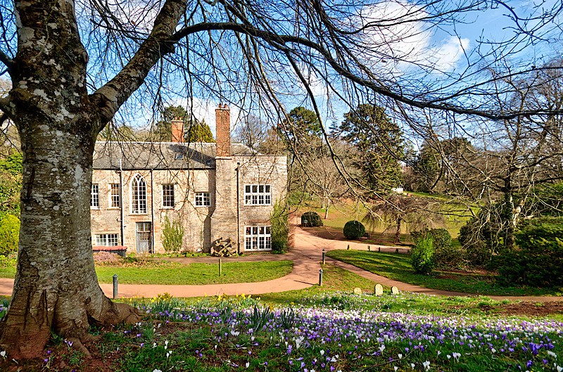 Spring view of Cockington Court with crocuses and daffodils - Cockington
