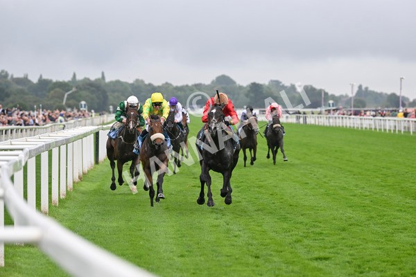 080924-Race 3-Brighton Boy-9043 - Race 3 2.50pm Irish Thoroughbred Marketing Nursery Handicap