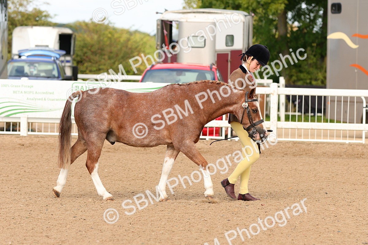 SBM_09177 - Class 204 - Young Handler