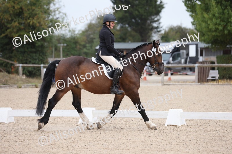 20250819-0980 - Class 2 - Prelim 1