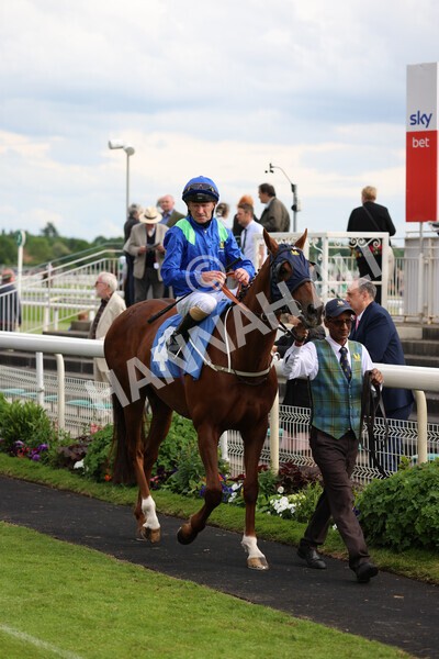 yr22052022r6-6 - Race 6: 6:05pm Sky Bet Sunday Series Stayers Stakes
