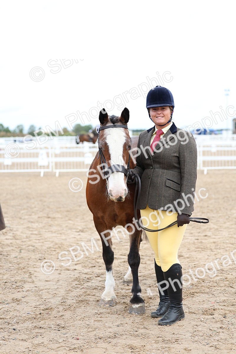 SBM_01473 - Class 17 - Prettiest Mare