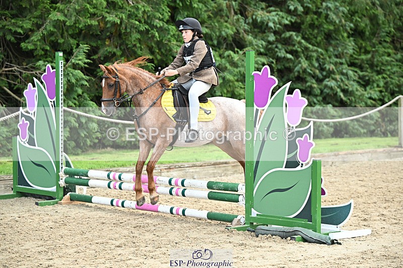 240822X-153139-10844 - 50cm R1 15.00 to 16.00