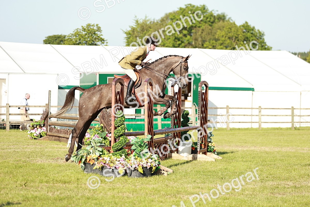 SBM_20147 - Class 117-119 - Sport Horse Working Hunter