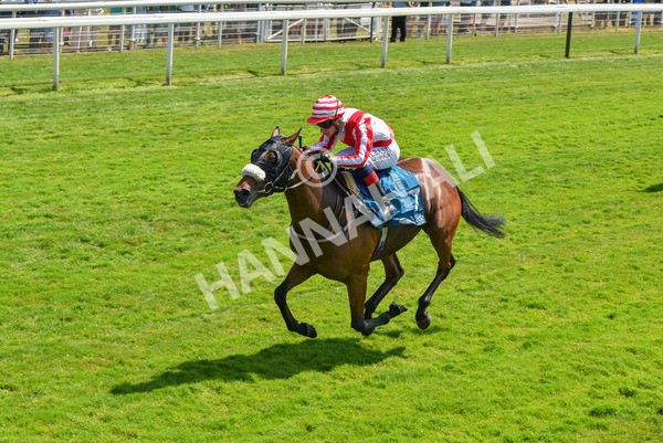 160623-Race 1-Menelaus-6153 - Race 1 1.50pm Andy Thornton Hospitality Furniture Apprentice Handicap