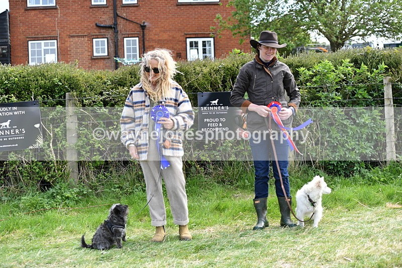 WJ5_0858 - Best in Show Championship