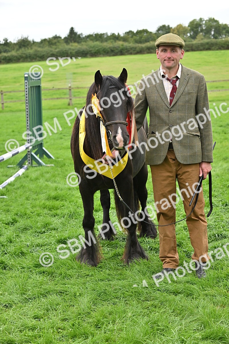 SBM_65047 - In Hand Pony & Younstock Supreme Championship