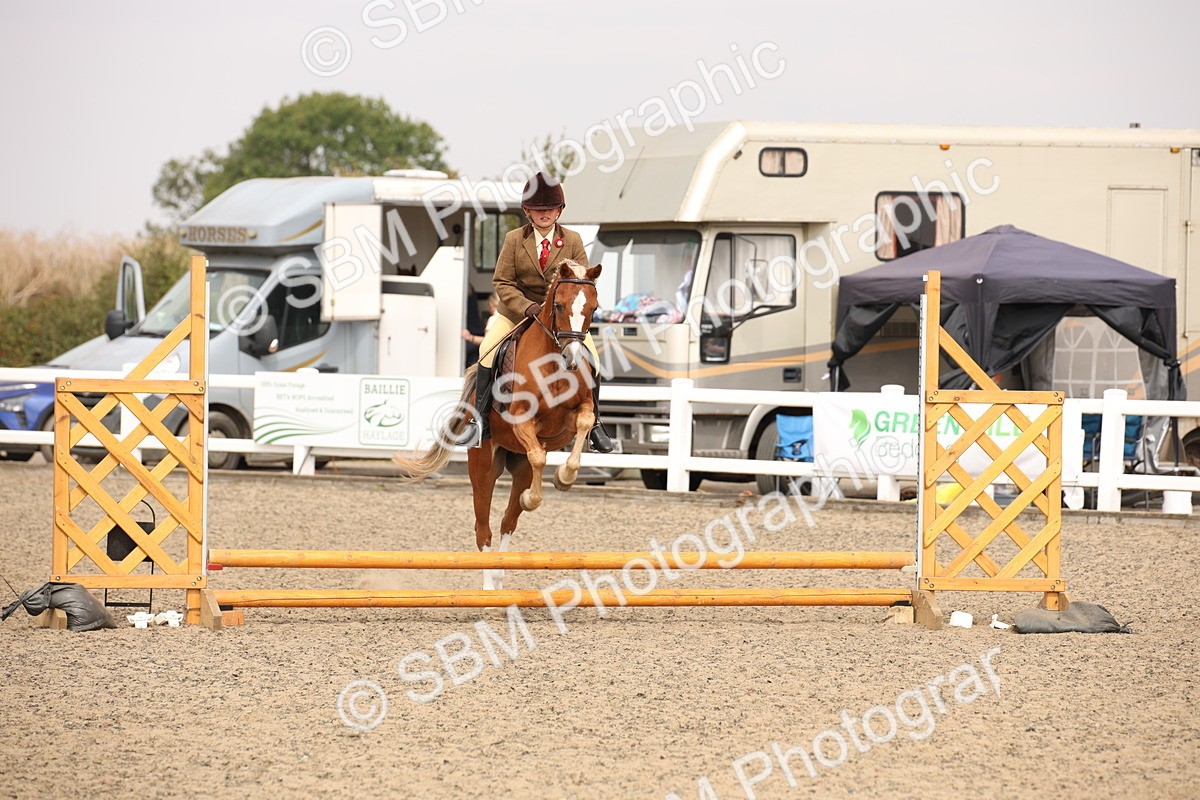 SBM_12616 - Class 405b - M&M Working Veteran 50cm 20+