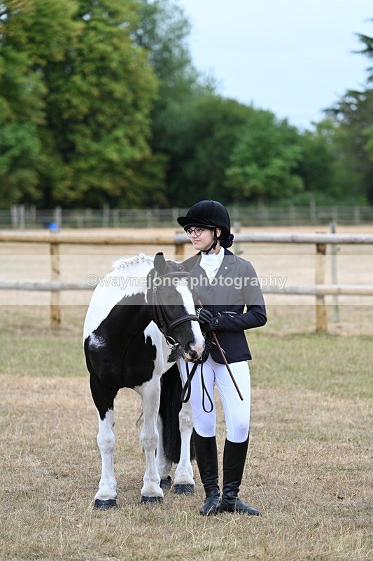 WJ7_8194 - Class 4 Prettiest Mare up to 14.2hh