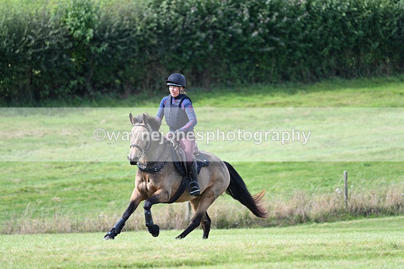 WJ7_6289 - Time 11:29 to 11:45