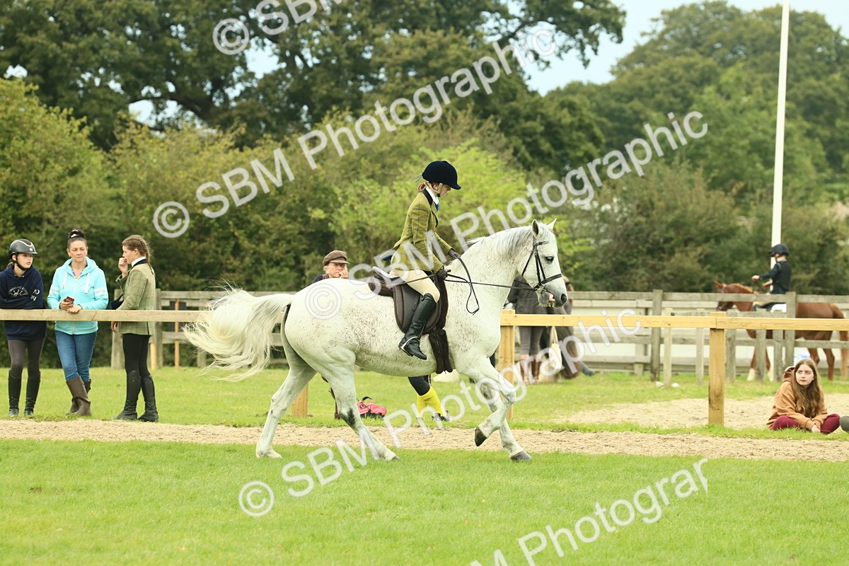 SBM_72043 - S60 - Mountain & Moorland Ridden Large Breeds