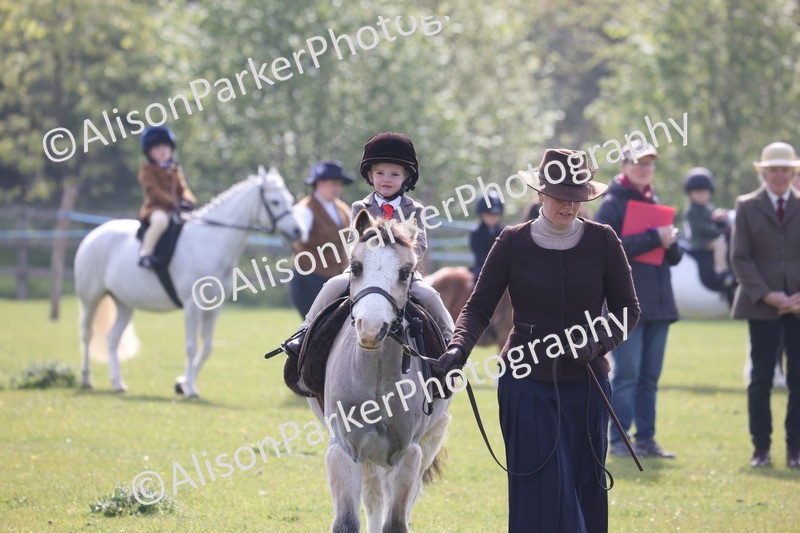 20260426-0379 - Class 30 - Tiny Tots Lead Rein