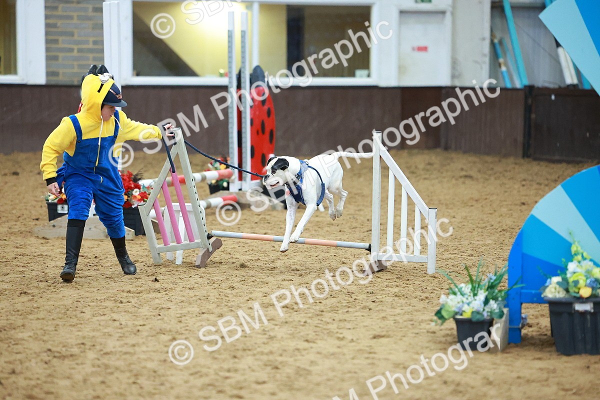 SBM_002272 - Class 3 - Horse & Hound (60cm)