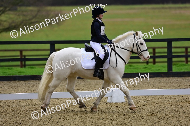 20260125-0579 - Class 9b - Walk Trot Unassisted