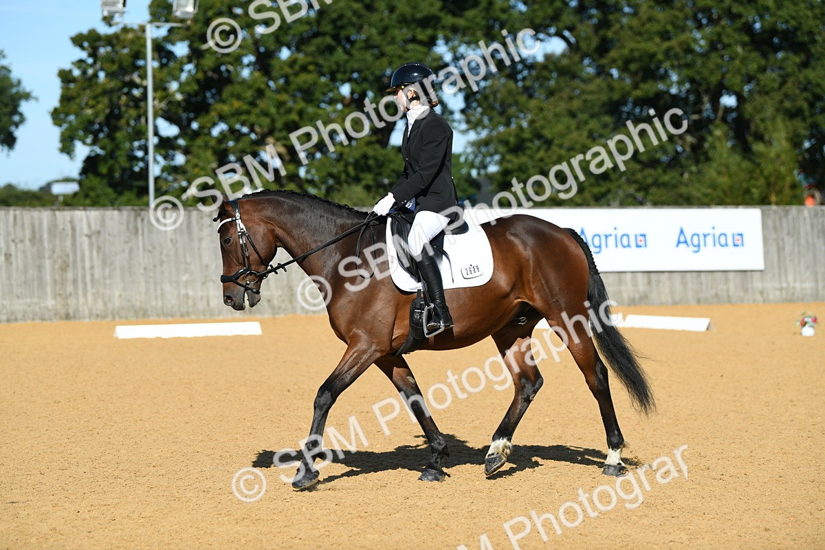 SBM_17987 - D4 - Small Tour Championship - Intro B