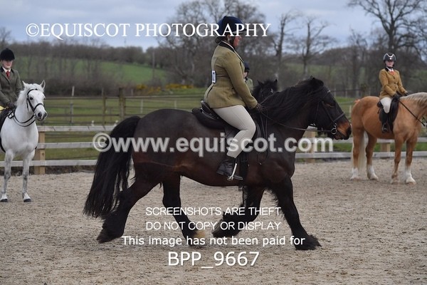 BPP_9667 - RING 2 - M&M