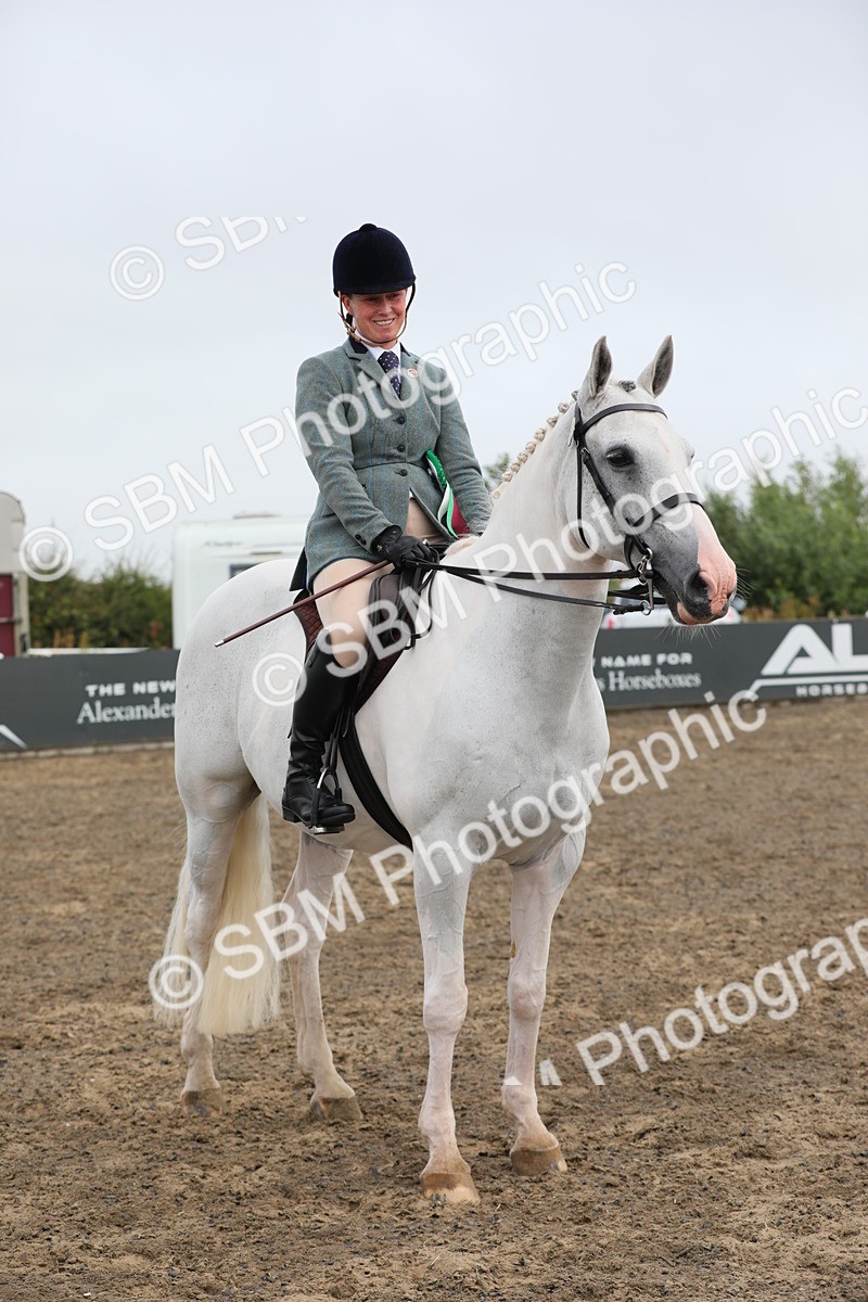 SBM_21406 - Class 805 - Ridden Veteran Horse