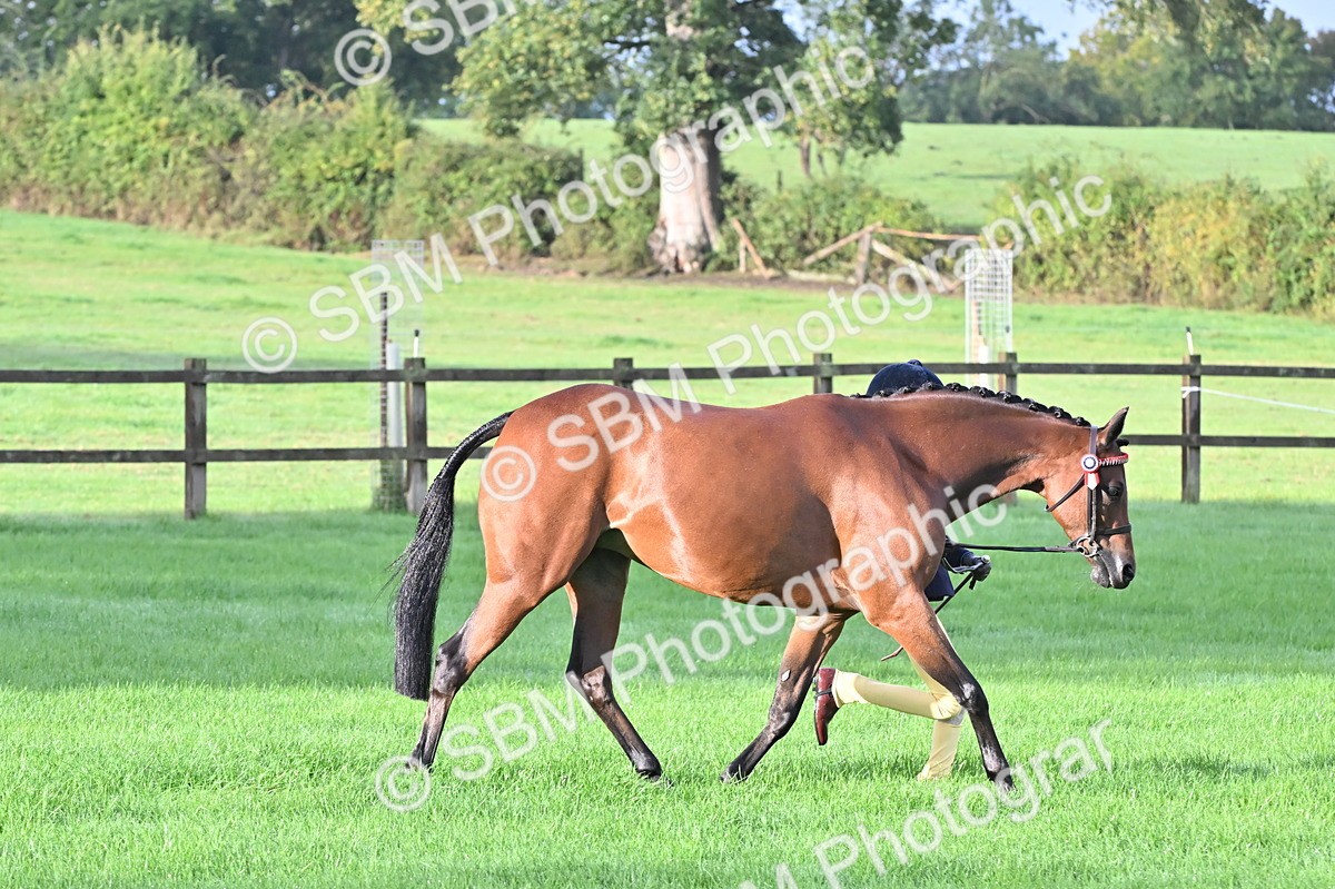 SBM_32621 - S15 - Top Turnout In Hand