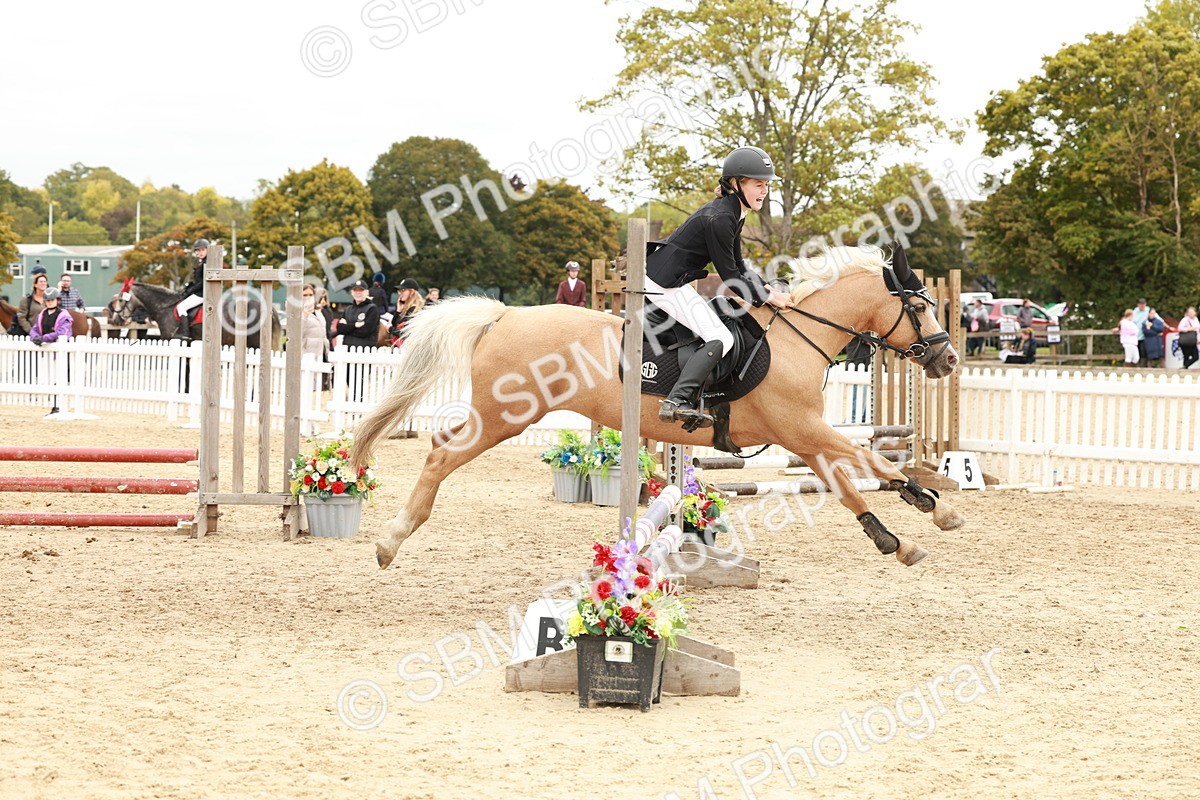 SBM_63731 - J12 - Junior Pony 55cm Championship