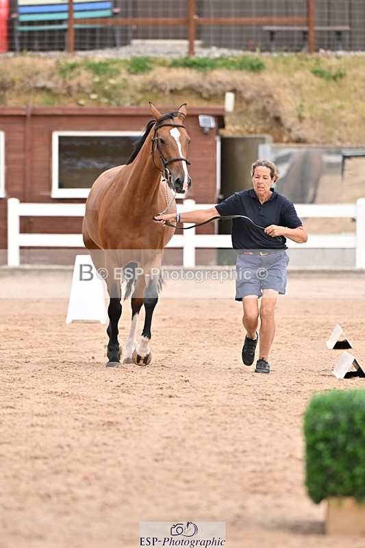 250716-151817-01850 - Trot Up 2.30 to 3.30