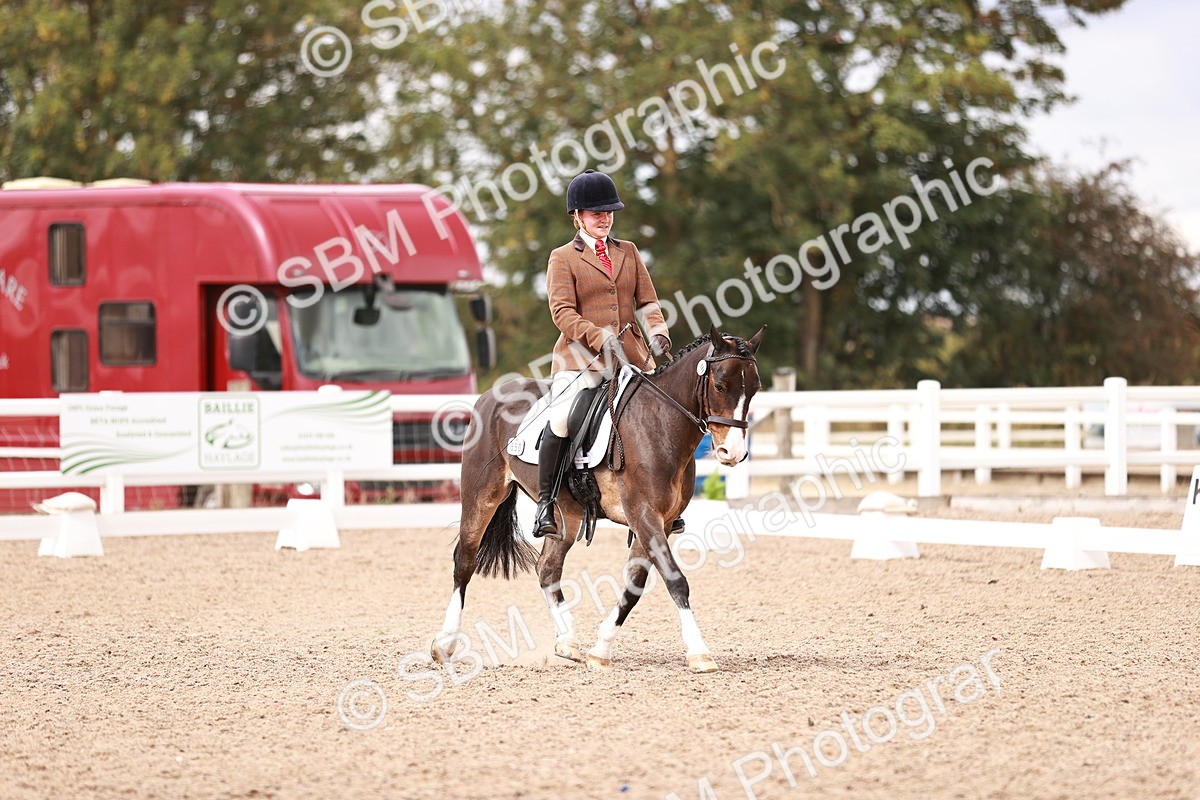 SBM_06254 - Class 37 - Novice 5