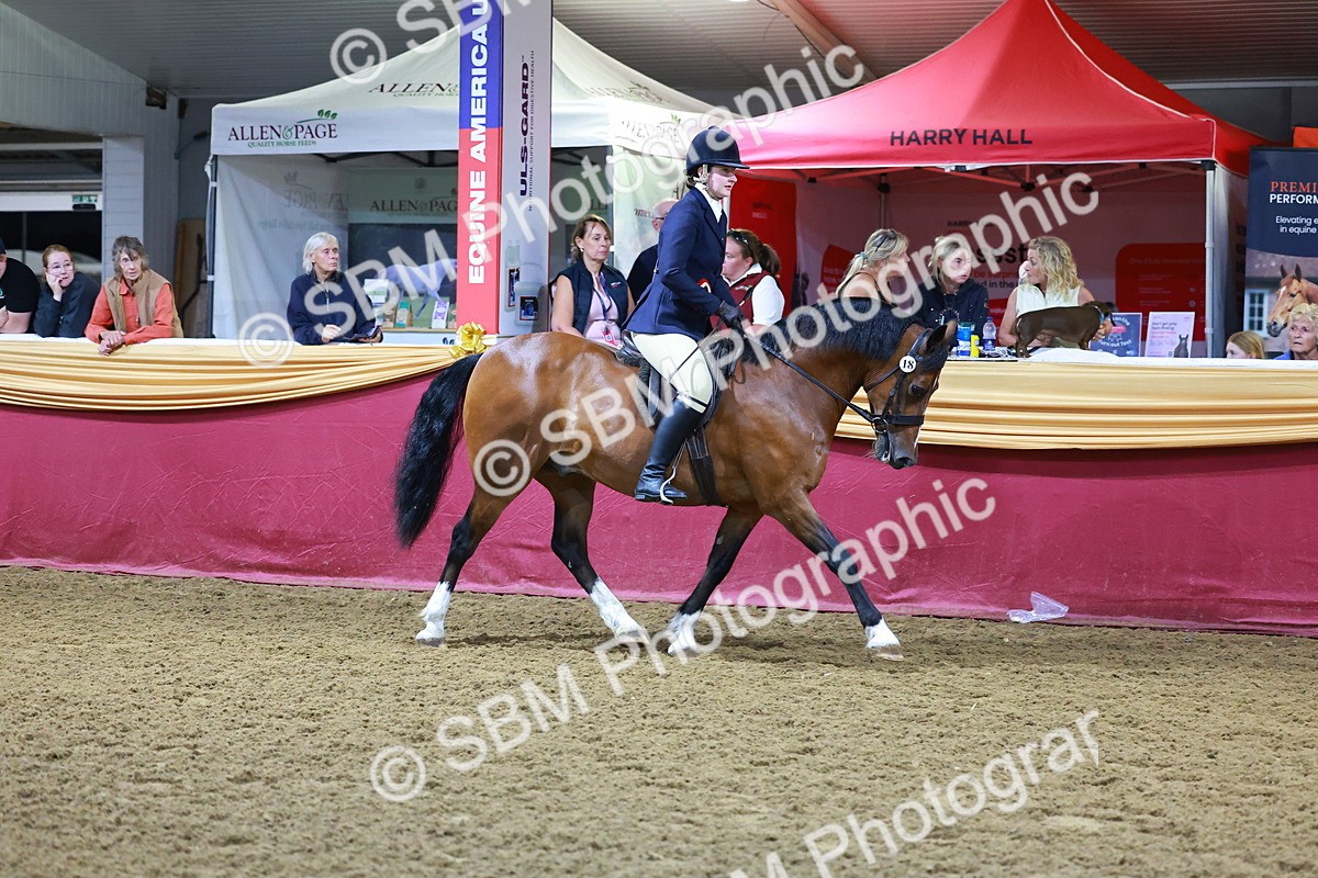 SBM_15256 - Class P - M&M Champ