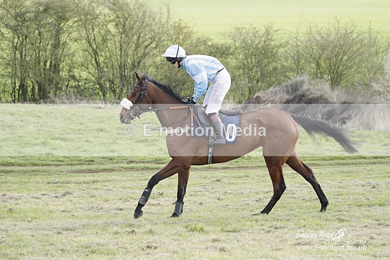 PtP 080423 933 - Dingley Races The Woodland Pytchley Hunt PtP 08/04/23