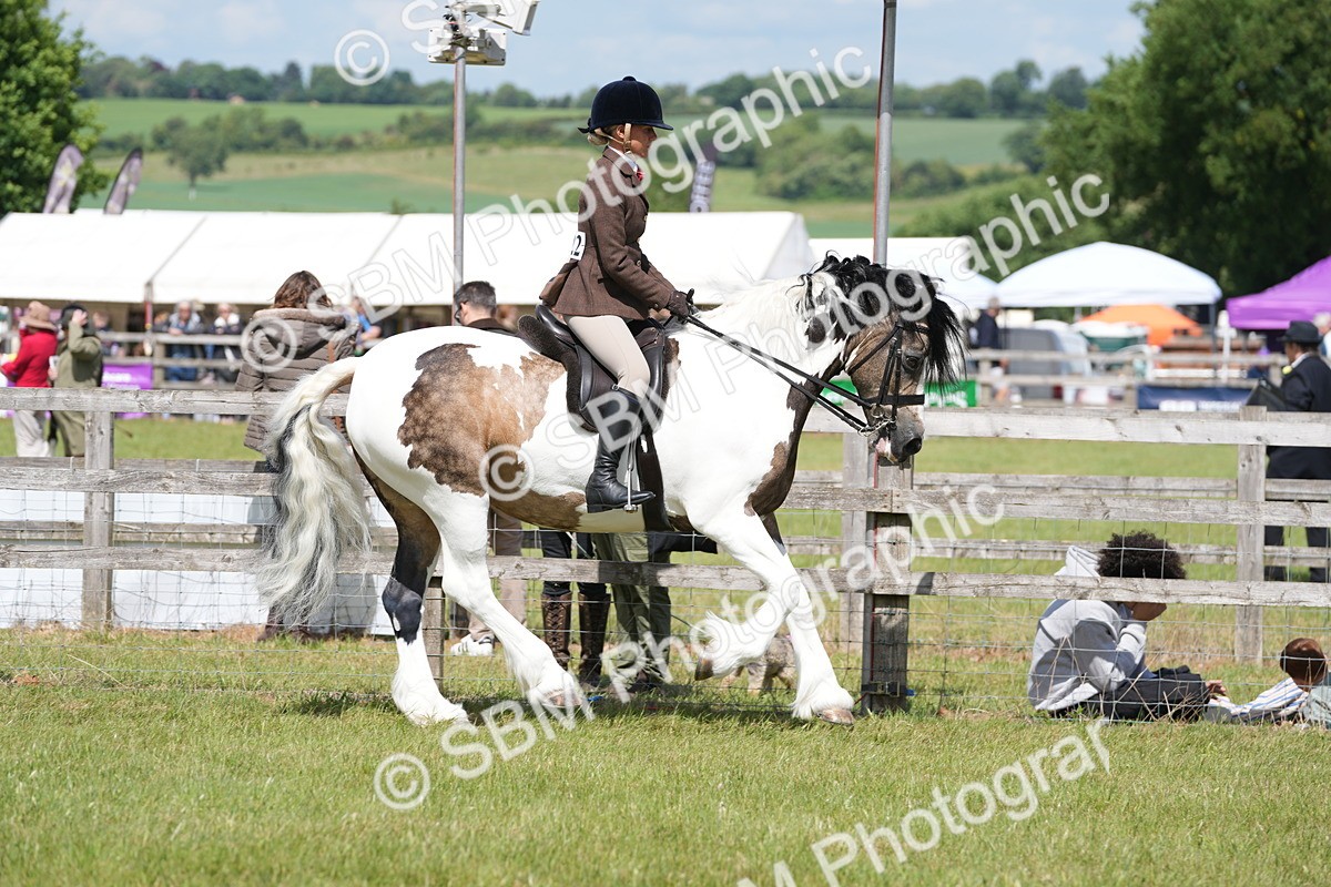 SBM_17127 - Class 107-108 - LIHS BSPS Performance Coloured Horse Pony