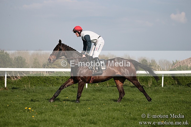 PtP 210418 565 - South & West Wilts Point-to-Point Larkhill 21/04/18