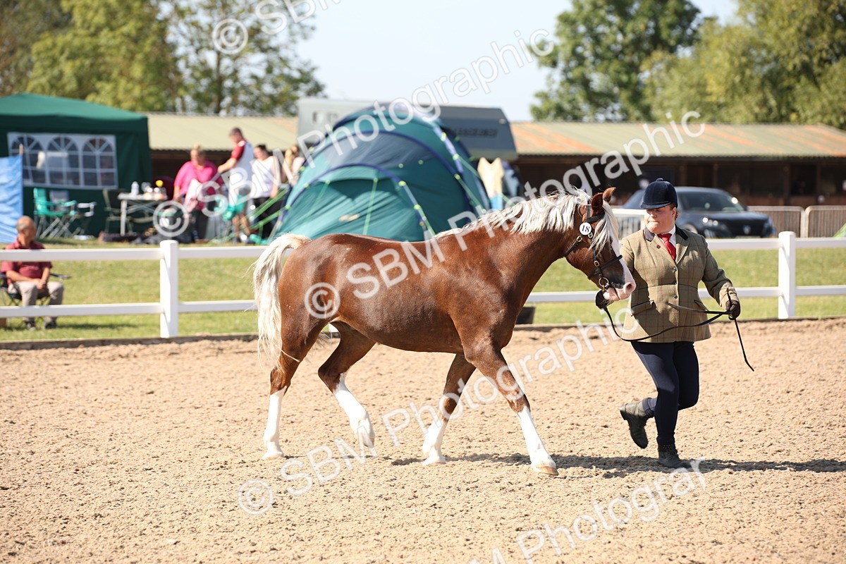 SBM_02701 - Class 16 IH M&M Wildcard