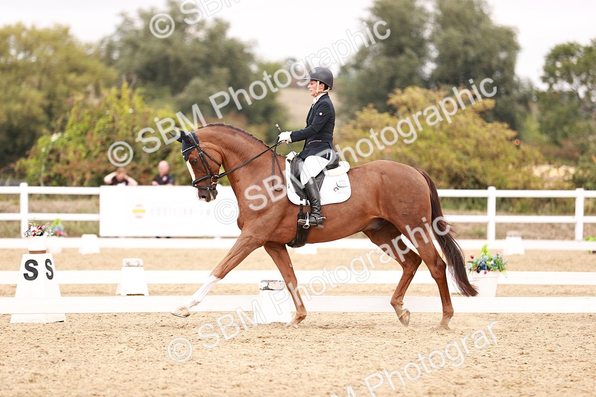 SBM_019278 - Class 20 - Medium 5