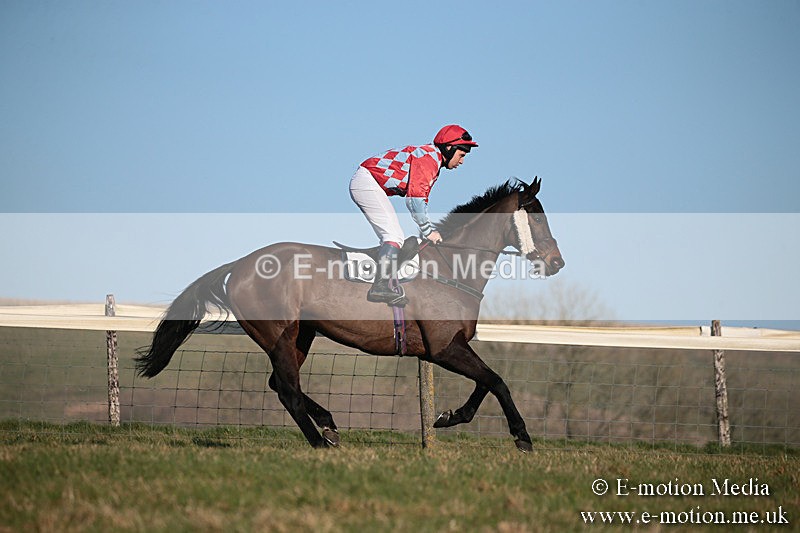 PtP 230219 482 - Vine & Craven Point-To-Point - Barbury 23/02/19