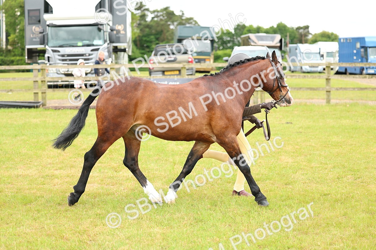 SBM_10336 - Class 44-45 - LIHS BSPS Open Nursery and Cradle Stakes