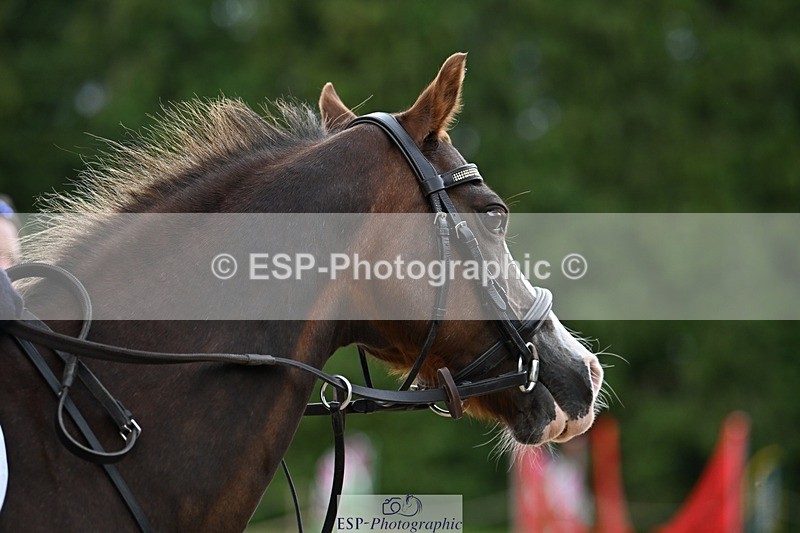 230824-163118-06075 - Round 1 Assisted 16.20 to End