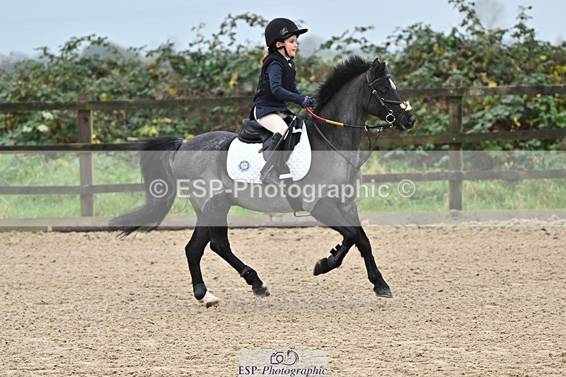 241110-095100-00100 - 40cm Showjumping