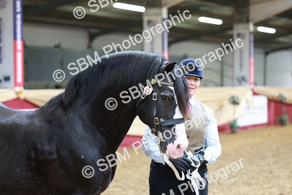 SBM_17488 - Class 951 - M&M IH Supreme Final