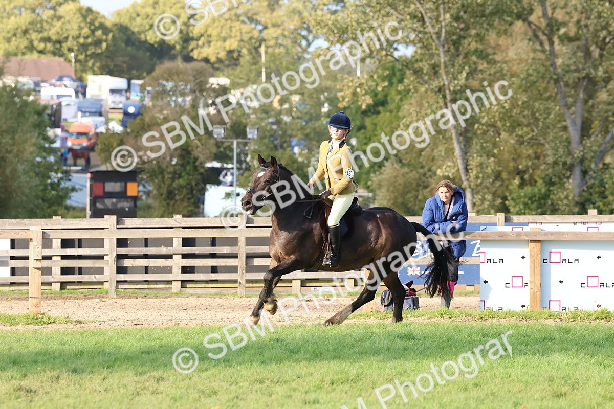 SBM_52585 - S13 - Pony Club Pony