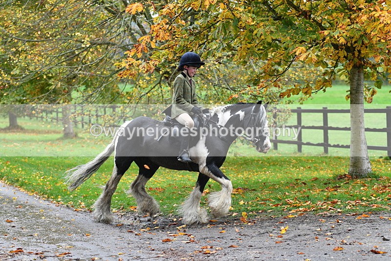 WJ5_6309 - B&B walk back for Hunt Tea !