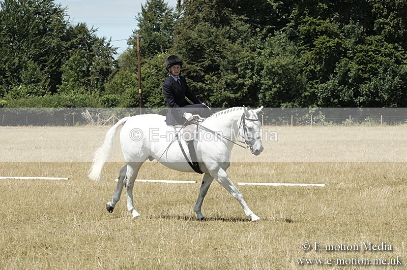 _PJP5957 - Dressage Classes BVRC Show 2018