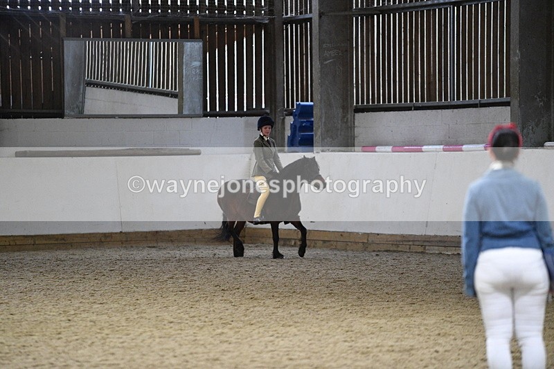 WJ5_8562 - Class 14 Novice Ridden/Rider