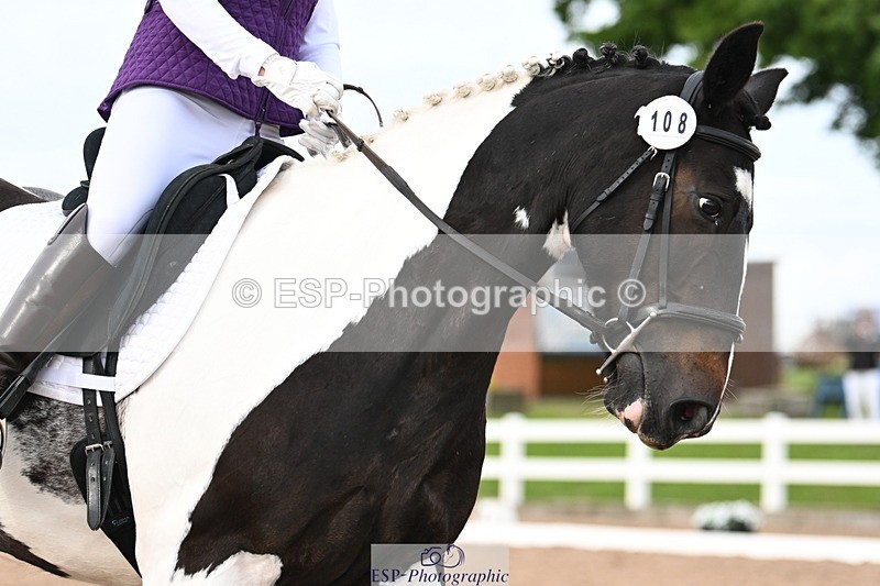 240621A-180326-06461 - Cls 11 Team Quest Novice 30