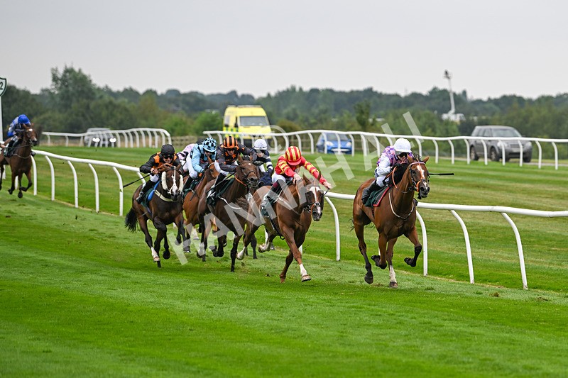 190824-Race 1-Shes A Novelty-3266 - Race 1