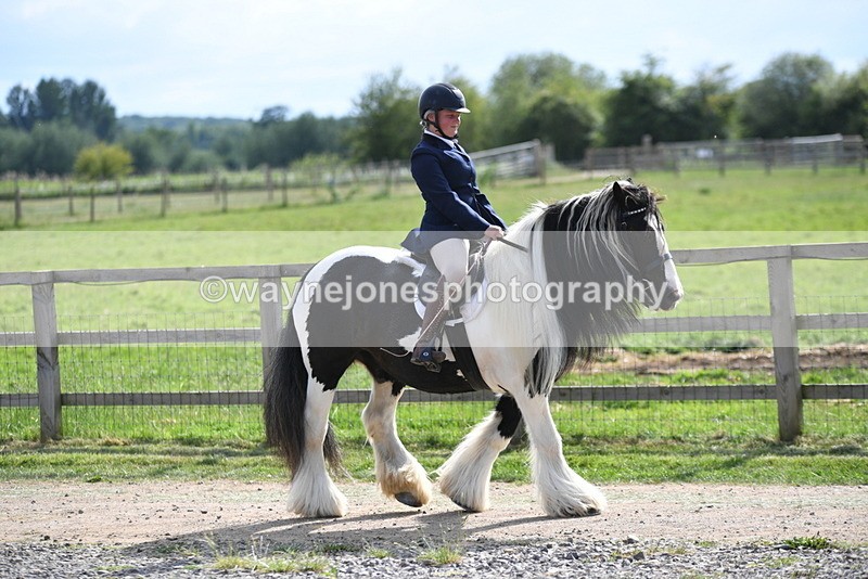 WJ5_7941 - Time 16:56 to 17:14