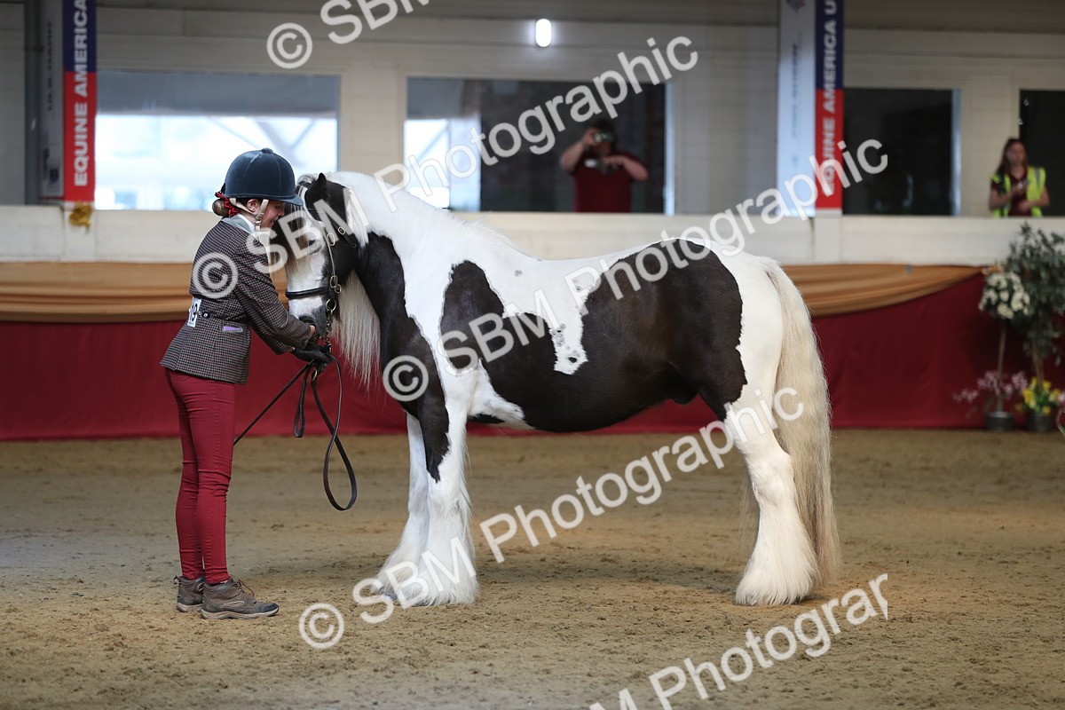 SBM_01356 - Class 3a Area IH Pre Vet