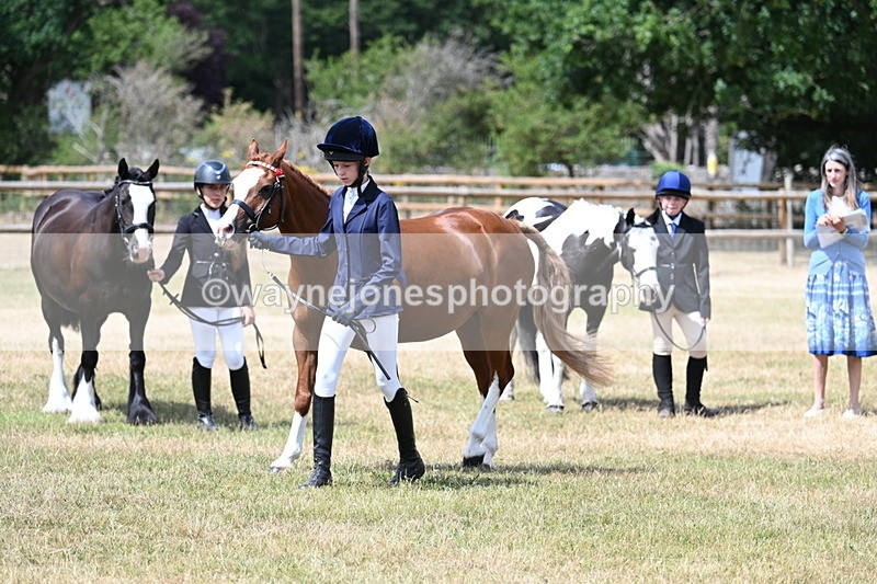 WJ7_1574 - Class 4 Prettiest Mare up to 14.2hh in hand